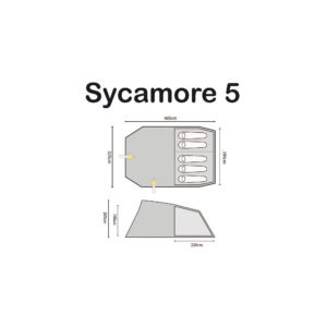 Sycamore 5