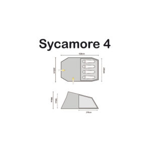 Sycamore 4